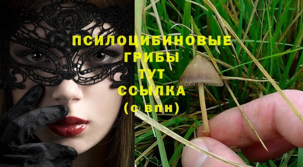 a pvp Богородицк