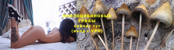 мяу мяу кристалл Богданович